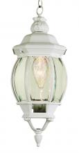 Trans Globe 4065 WH - 1LT SMALL HANGING LANTERN-OUTD